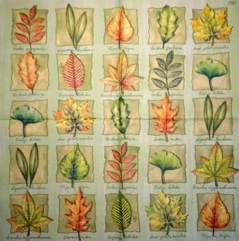 181 Plants - 3-ply - Ambiente